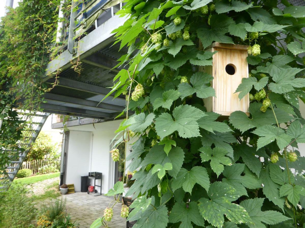 Das Nest Winterberg Exterior foto